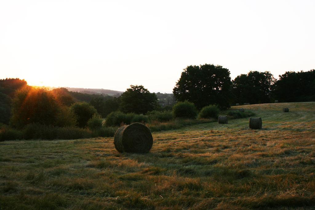 Domaine De Romefort Saint-Léonard-de-Noblat الغرفة الصورة