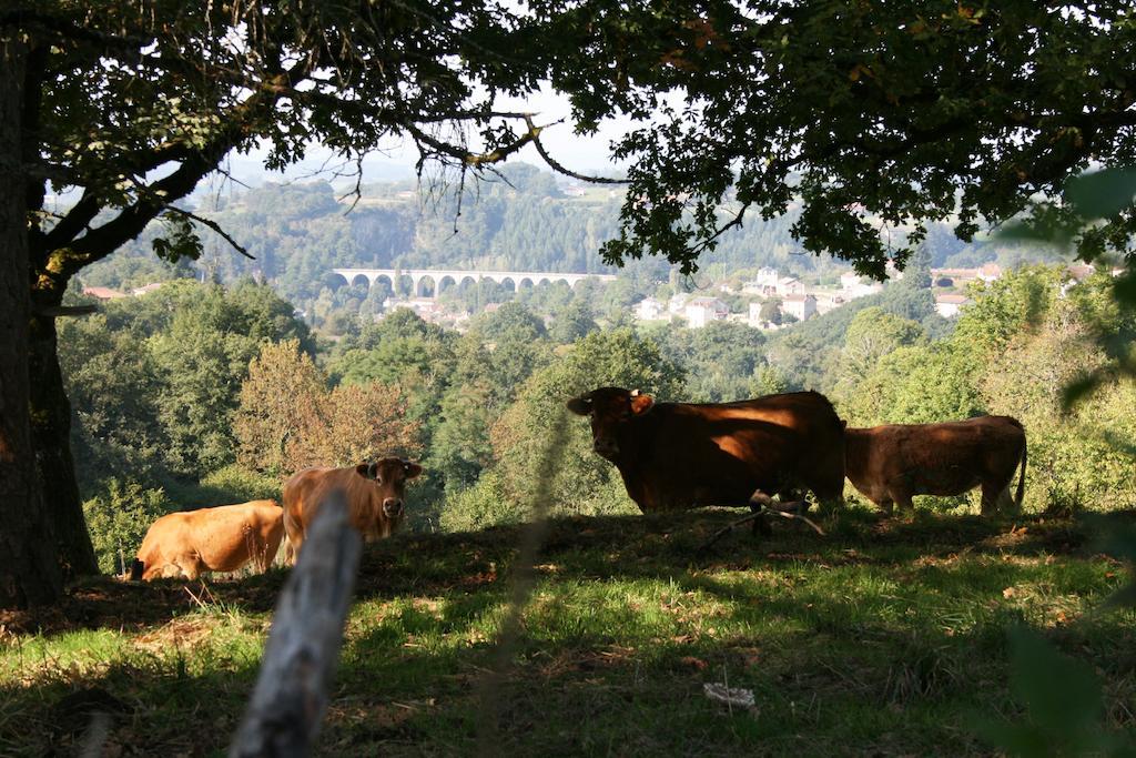 Domaine De Romefort Saint-Léonard-de-Noblat الغرفة الصورة